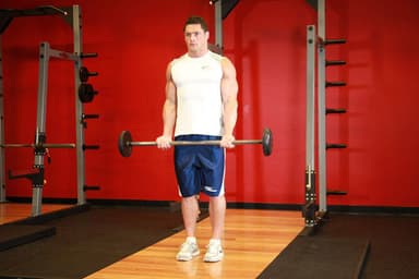 Barbell Curl - Step 1