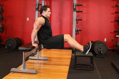 Bench Dips - Step 1