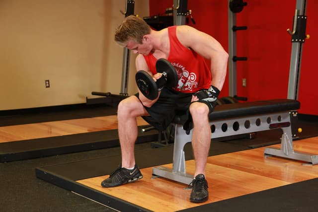Ending position of Concentration Curls