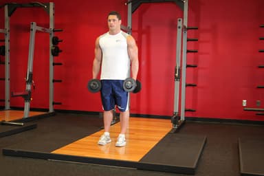 Dumbbell Bicep Curl - Step 1