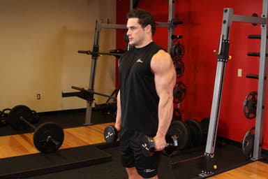 Dumbbell Raise - Step 1