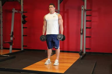 Dumbbell Rear Lunge - Step 1