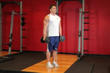 Hammer Curls - Step 1