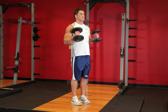 Ending position of Hammer Curls