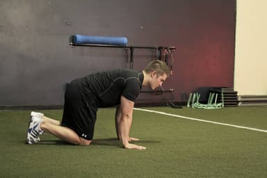 Starting position of Hip Circles (prone)