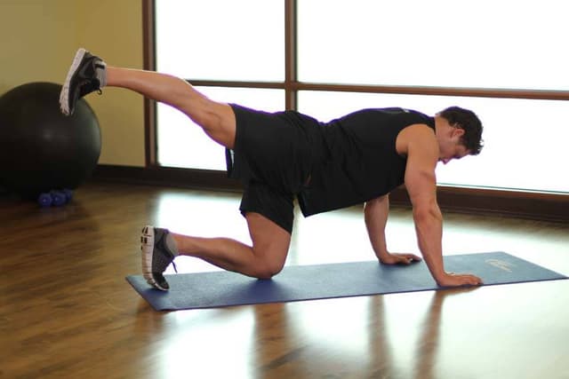 Ending position of Rear Leg Raises