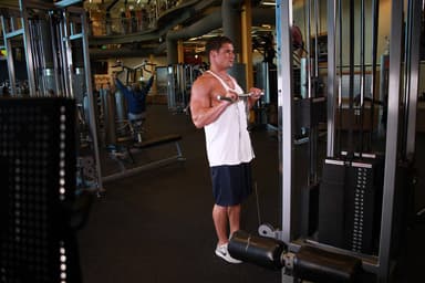 Reverse Cable Curl - Step 1