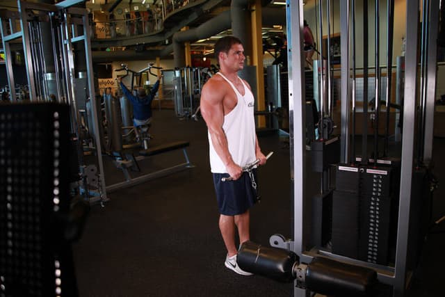 Ending position of Reverse Cable Curl