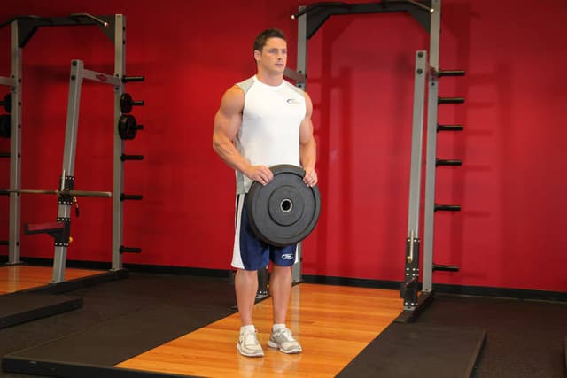 Starting position of Reverse Plate Curls
