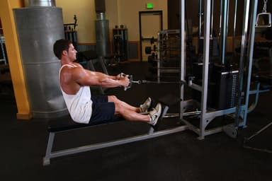 Seated Cable Rows - Step 1