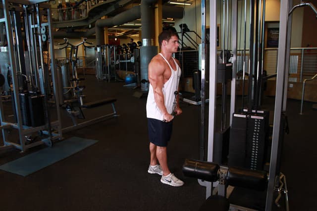 Ending position of Triceps Pushdown